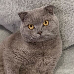 Meet your Posher, Nadya